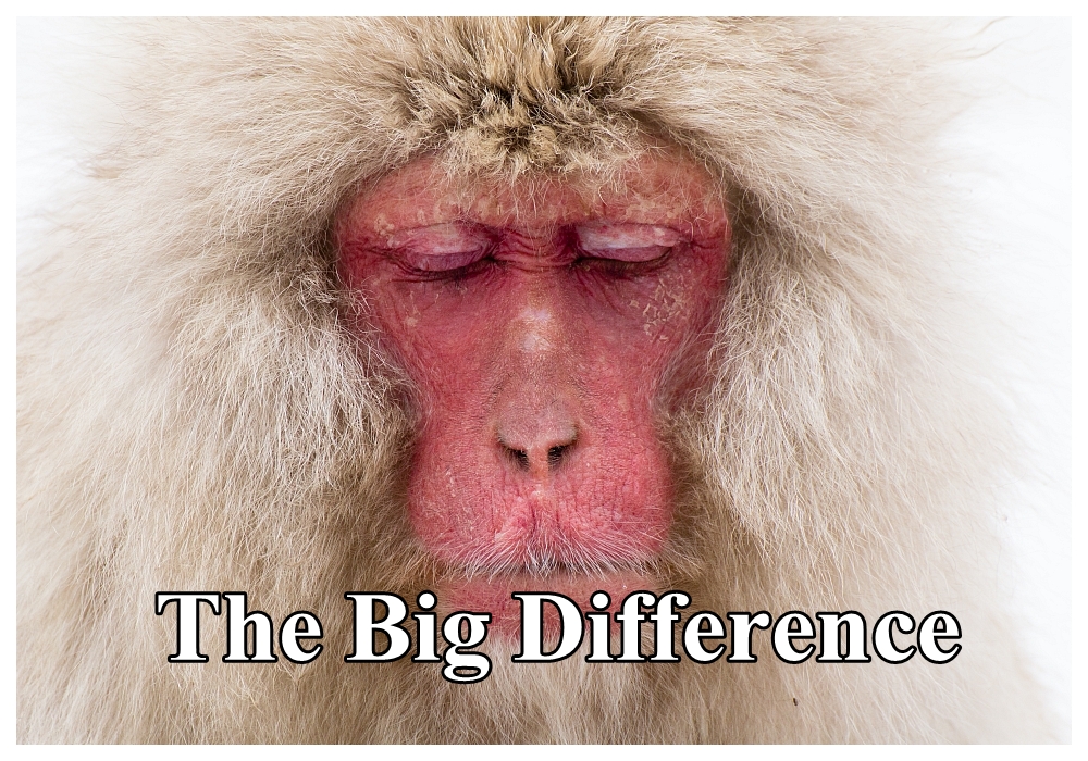 The Big Difference