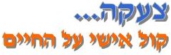 צעקה... קול אישי על החיים